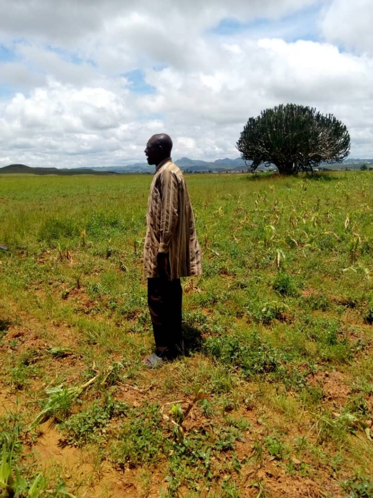 Destroyed crops in Nigeria