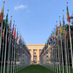 The UN Human Rights Council is situated in Geneva. csi